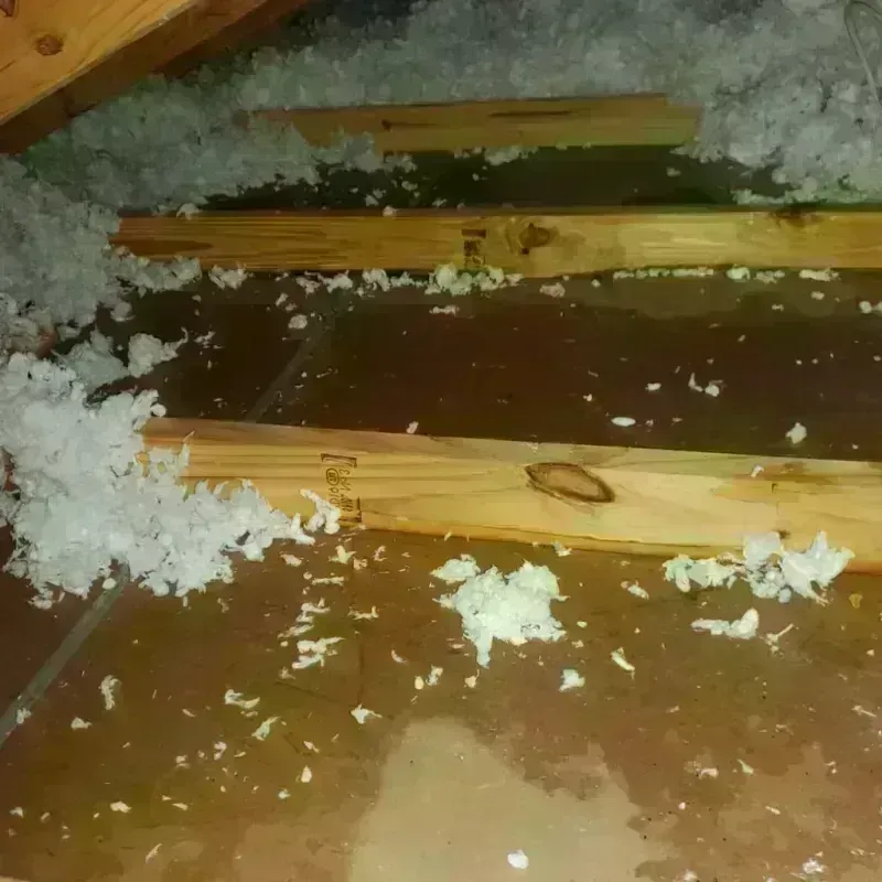 Attic Water Damage in Lake Wazeecha, WI