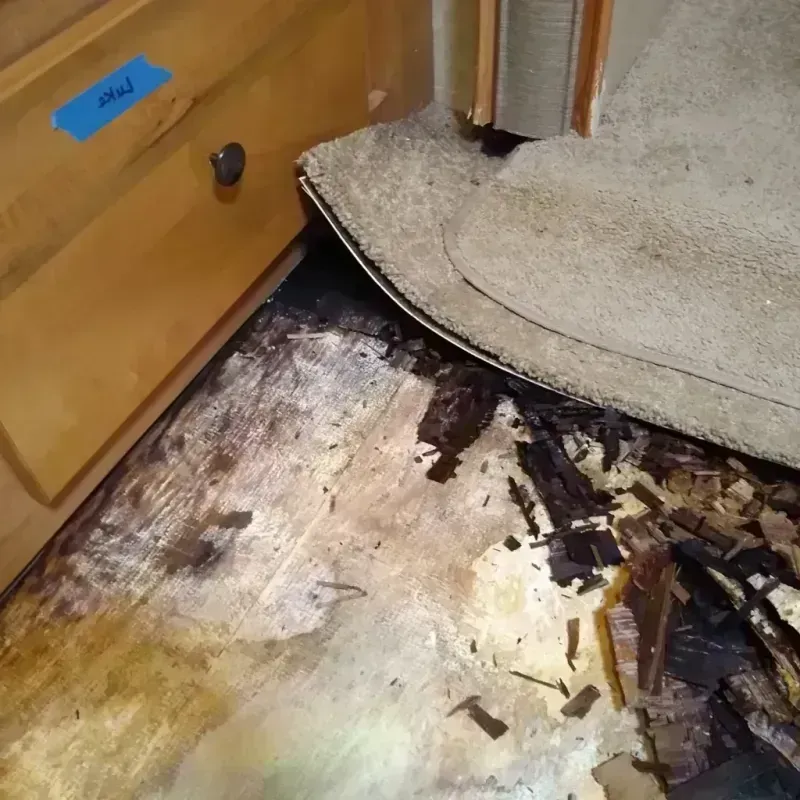 Wood Floor Water Damage in Lake Wazeecha, WI